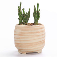 Load image into Gallery viewer, Wood Mirage Ceramic Planter Set 6 pc
