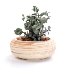Load image into Gallery viewer, Wood Mirage Ceramic Planter Set 6 pc

