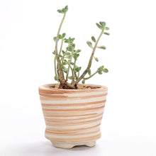 Load image into Gallery viewer, Wood Mirage Ceramic Planter Set 6 pc
