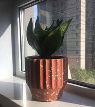 Load image into Gallery viewer, Terrazzo Cement Planter

