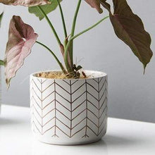 Load image into Gallery viewer, Abstract White Ceramic Planter
