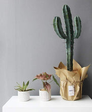 Load image into Gallery viewer, Abstract White Ceramic Planter
