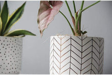 Load image into Gallery viewer, Abstract White Ceramic Planter

