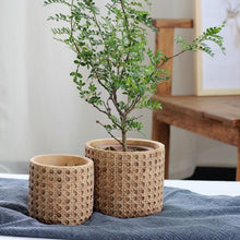 Load image into Gallery viewer, Natural Rattan Texture Cement Planter
