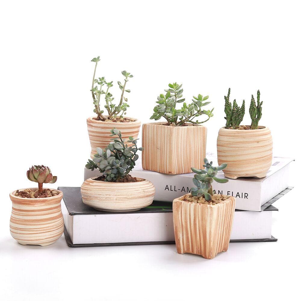 Wood Mirage Ceramic Planter Set 6 pc