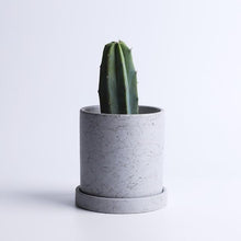 Load image into Gallery viewer, Marble Small Planter with Plate
