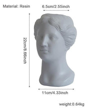 Load image into Gallery viewer, Venus Ceramic &amp; Resin Planters
