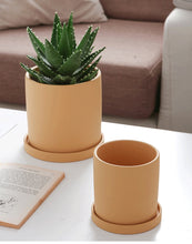 Load image into Gallery viewer, All The Bright Colors Planter with Saucer Set
