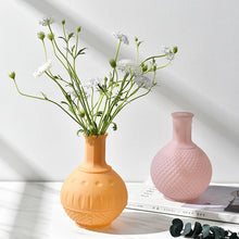 Load image into Gallery viewer, Ciela Colored Frosted Glass Vase
