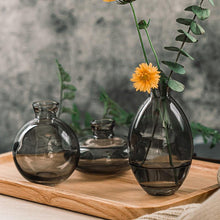 Load image into Gallery viewer, Cezanne Glass Vase 3 pc Set
