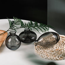 Load image into Gallery viewer, Cezanne Glass Vase 3 pc Set
