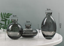 Load image into Gallery viewer, Cezanne Glass Vase 3 pc Set

