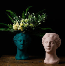 Load image into Gallery viewer, Venus Ceramic &amp; Resin Planters
