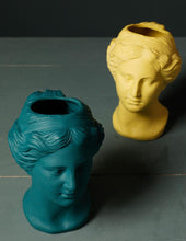 Load image into Gallery viewer, Venus Ceramic &amp; Resin Planters
