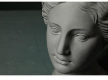 Load image into Gallery viewer, Venus Ceramic &amp; Resin Planters
