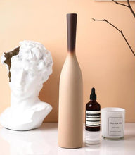 Load image into Gallery viewer, Provence Soft Gradient Vases
