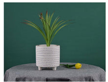 Load image into Gallery viewer, Textured Dot Footed Ceramic Planters
