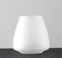 Load image into Gallery viewer, Frosted Blown Glass Vase
