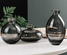 Load image into Gallery viewer, Cezanne Glass Vase 3 pc Set
