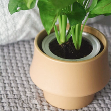 Load image into Gallery viewer, Rosa Ceramic Planter
