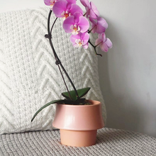 Load image into Gallery viewer, Rosa Ceramic Planter
