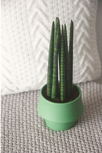 Load image into Gallery viewer, Rosa Ceramic Planter
