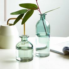 Load image into Gallery viewer, Colorful Glass Bud Vases
