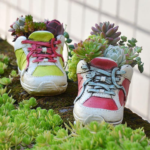 Sneakers Shoes Style Succulent Plant Fleshy Flower Pots Mini Cute Shoe Flower Vase - BestVase